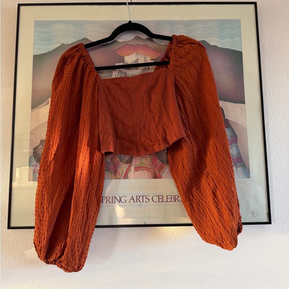 Urban Outfitters Terracotta Blouse